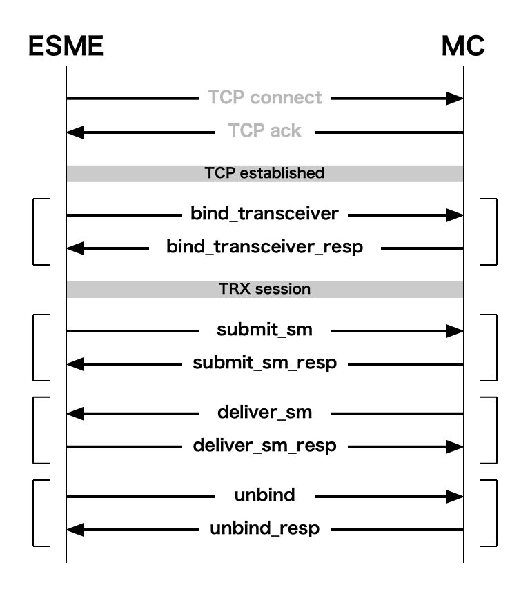 Example SMPP session